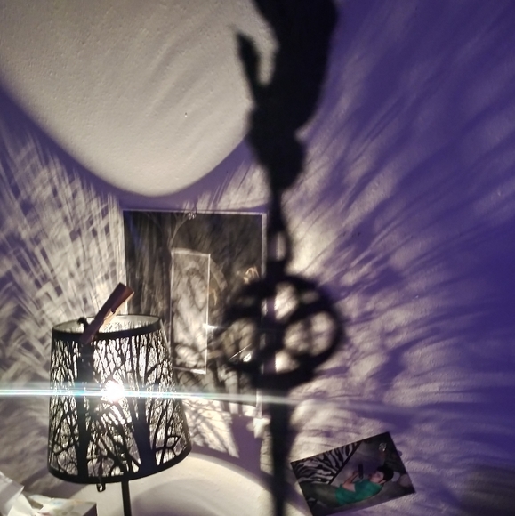 Meet your Posher, Joseph - Picture 2 of 4